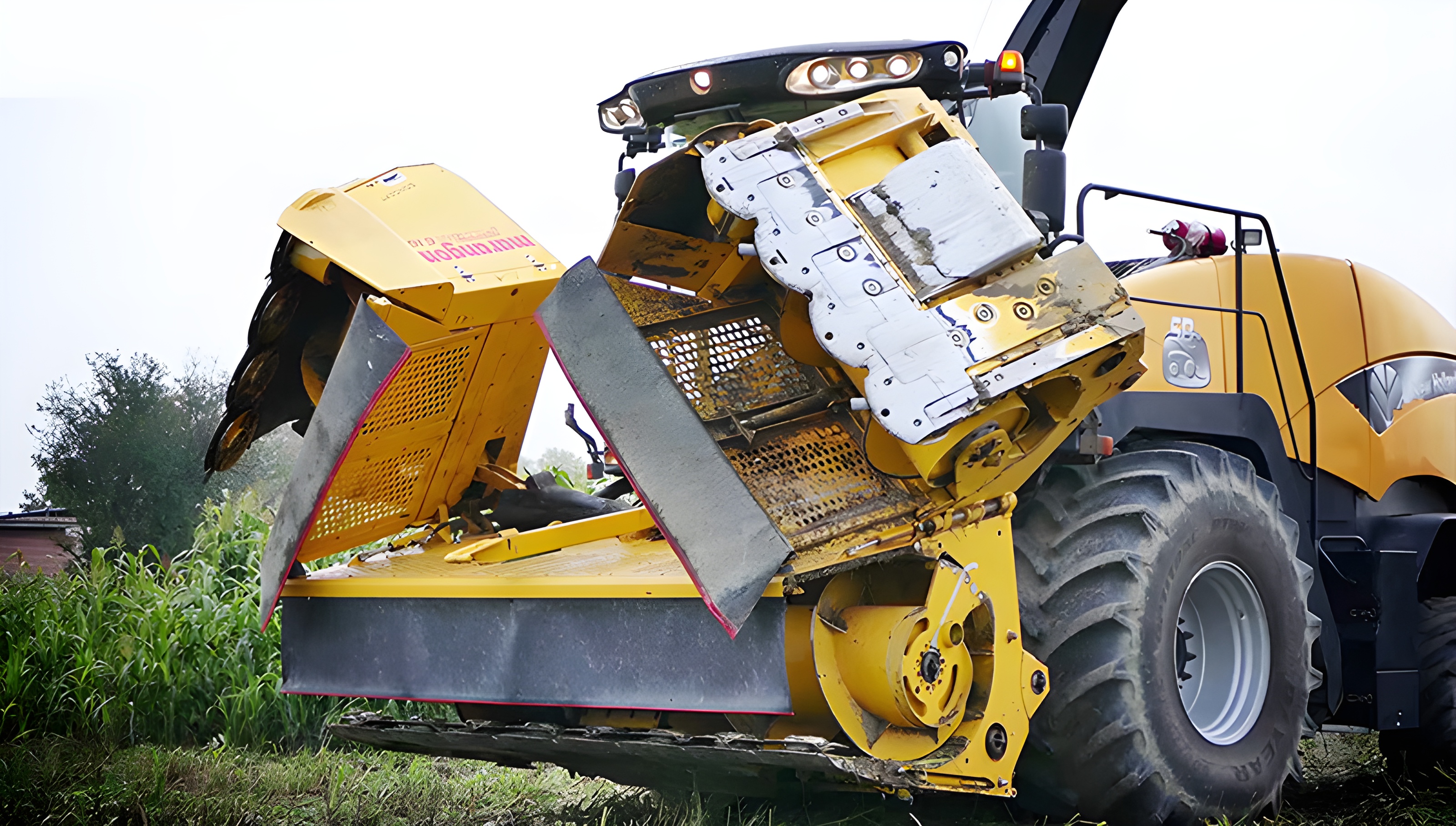 Marangon folded direct cutting header for forage harvesters